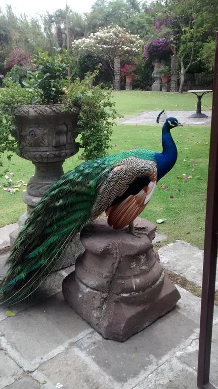 Las Calandrias Hotel Atlixco Luaran gambar